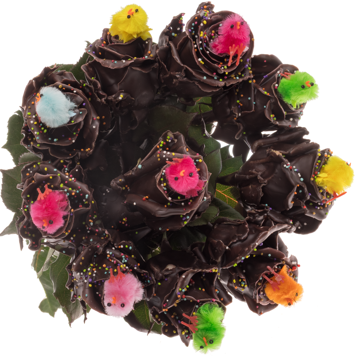 Rose wachs braun Choco Color Chicken 70cm