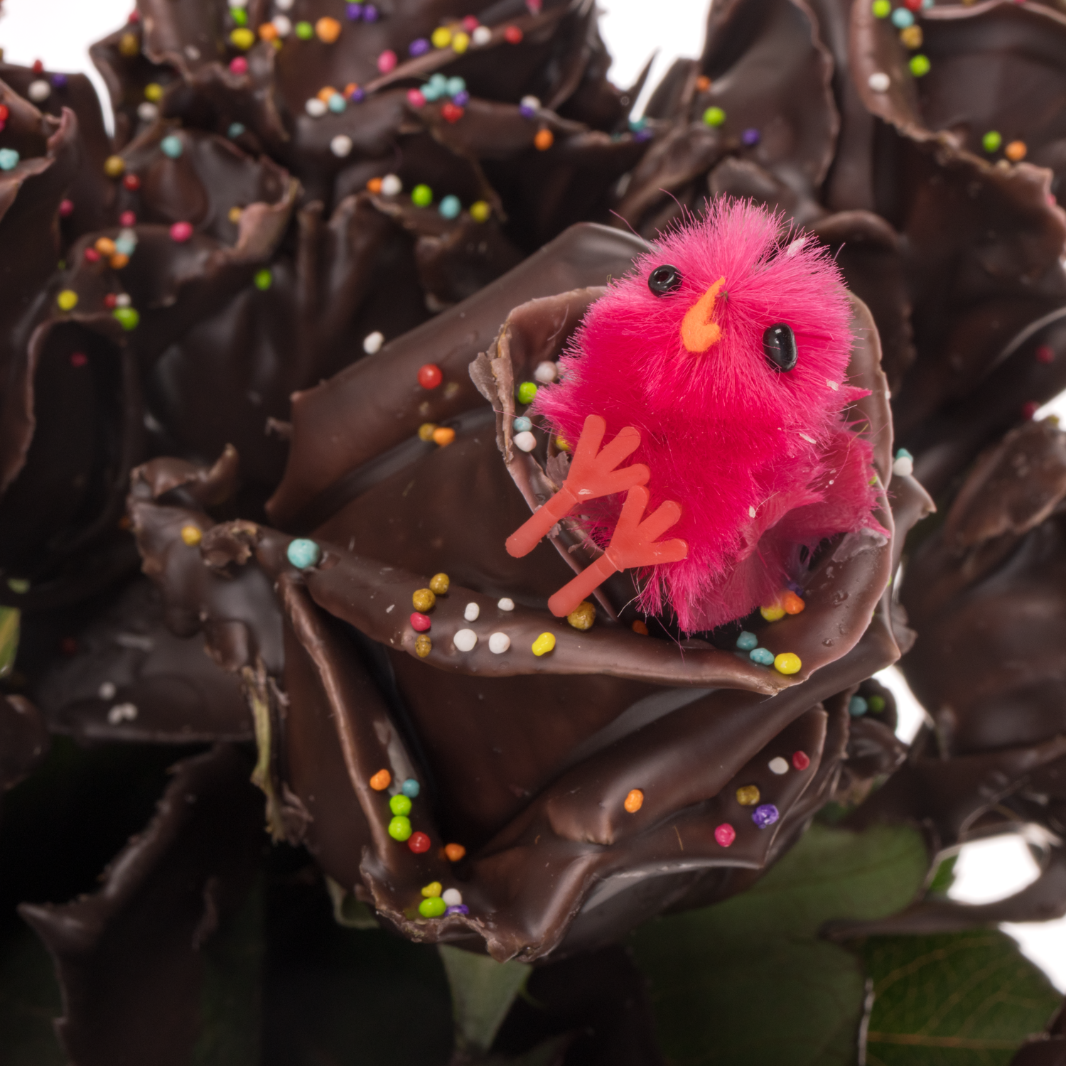 Rose wachs braun Choco mix Chicken 70cm duftend