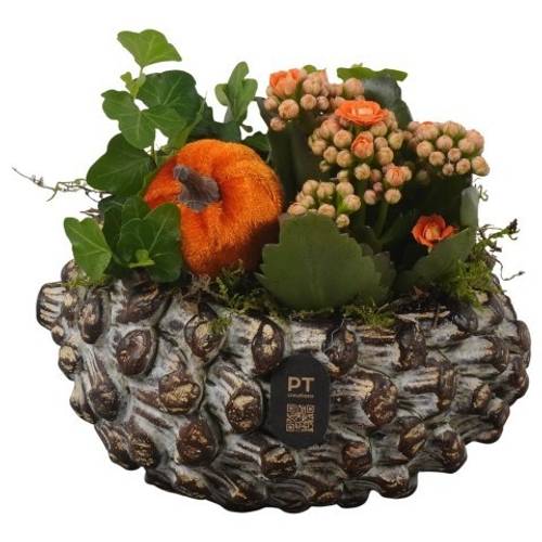 Kal.Arr PTHI3274 Herbst T16 H016