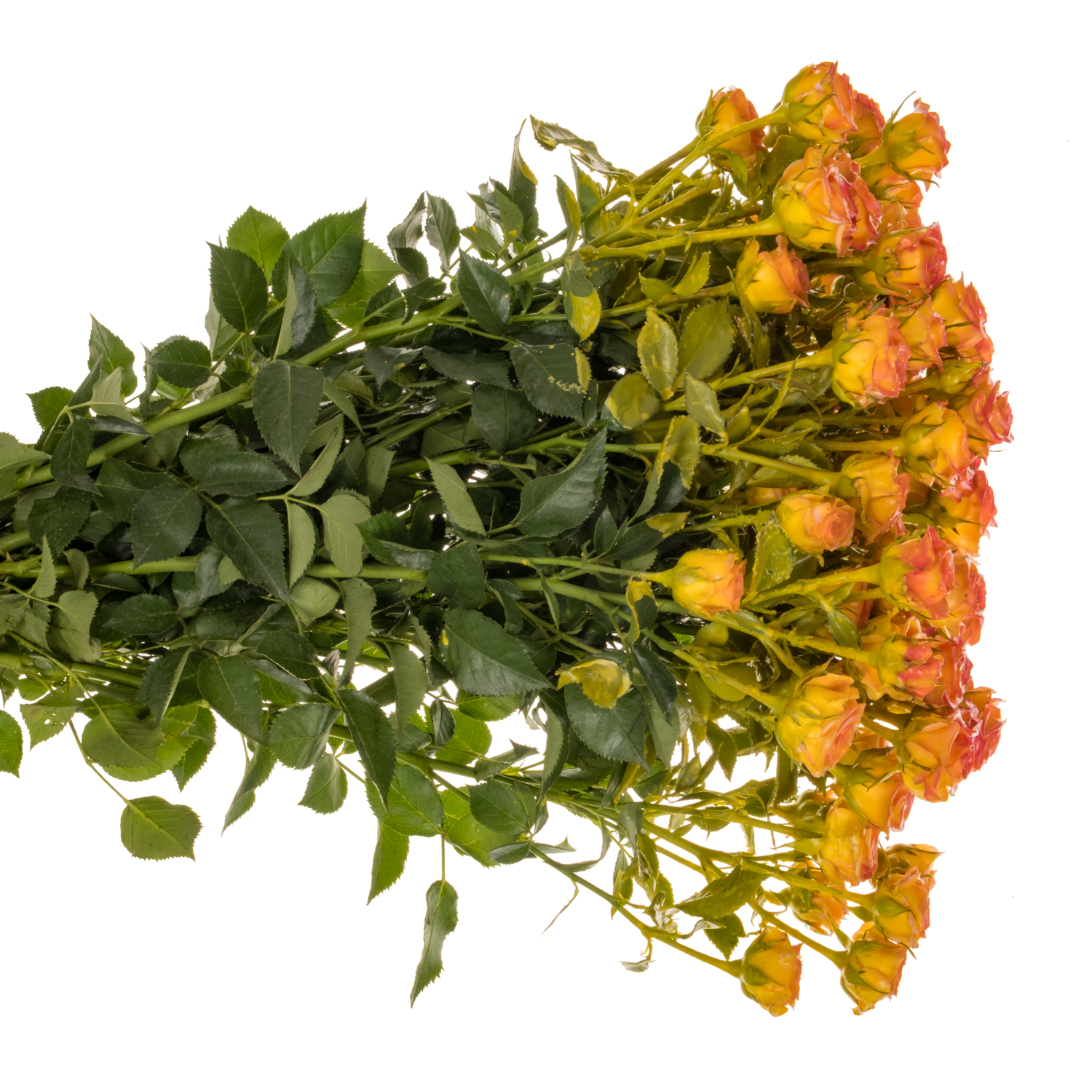 Rose verzweigt rot/gelb Wachs 60cm
