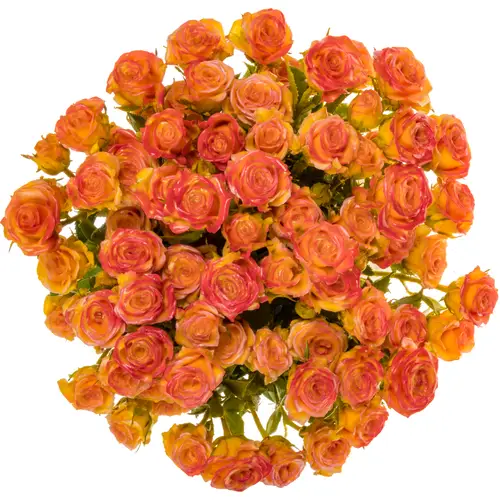 Rose verzweigt rot/gelb Wachs 60cm