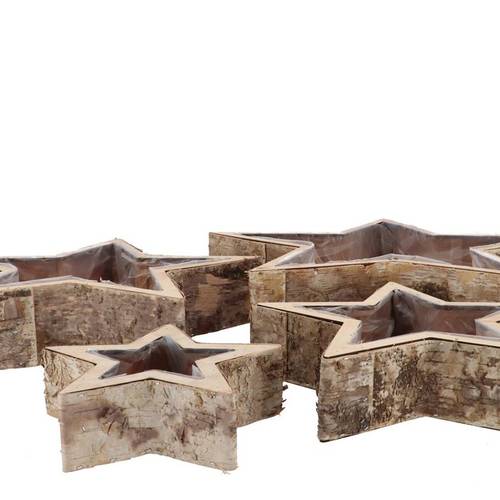 Holz Topf Stern 4/Set 20x6/30x7/40x8/50x9cm