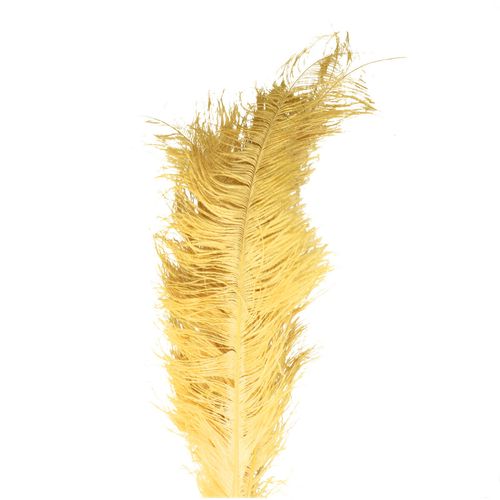 Straussenfedern gold L55cm x5