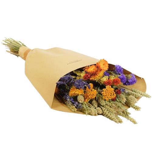 Trockenblumen Strauss Field orange L60cm