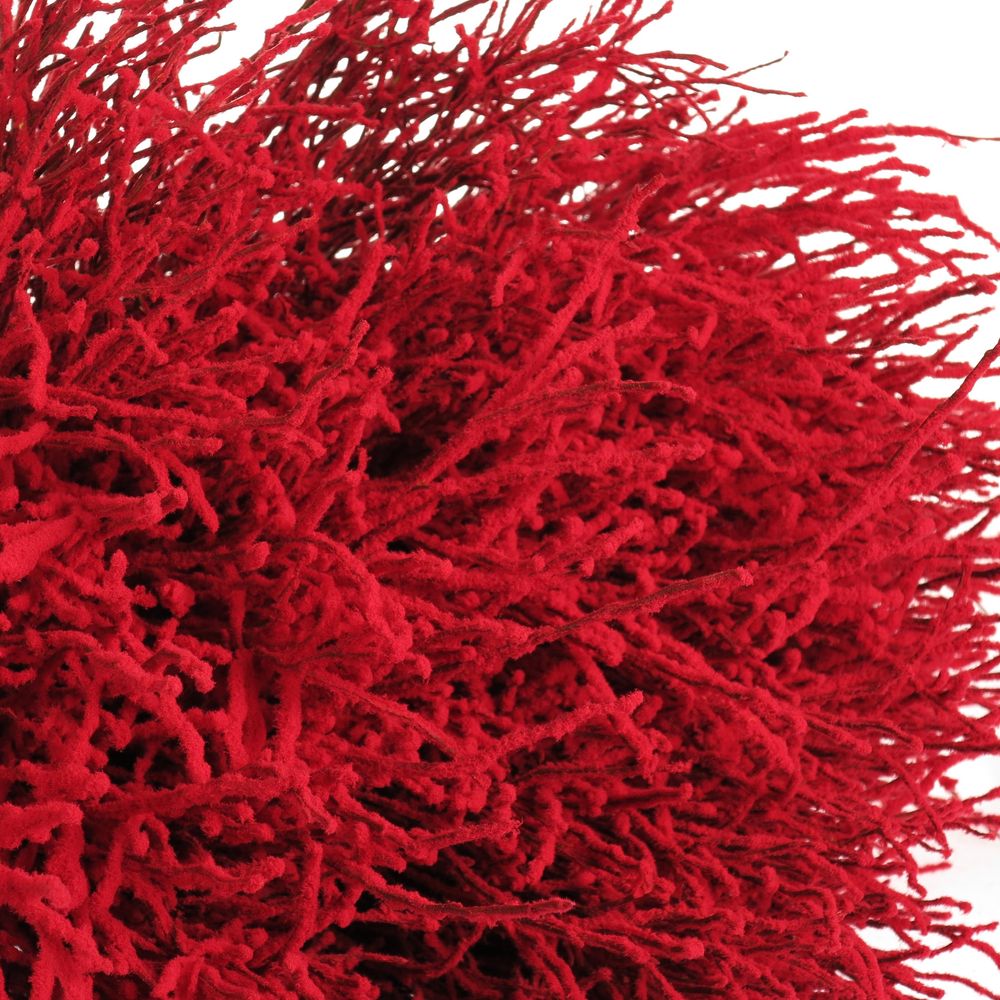Heidelbeere rot Puder