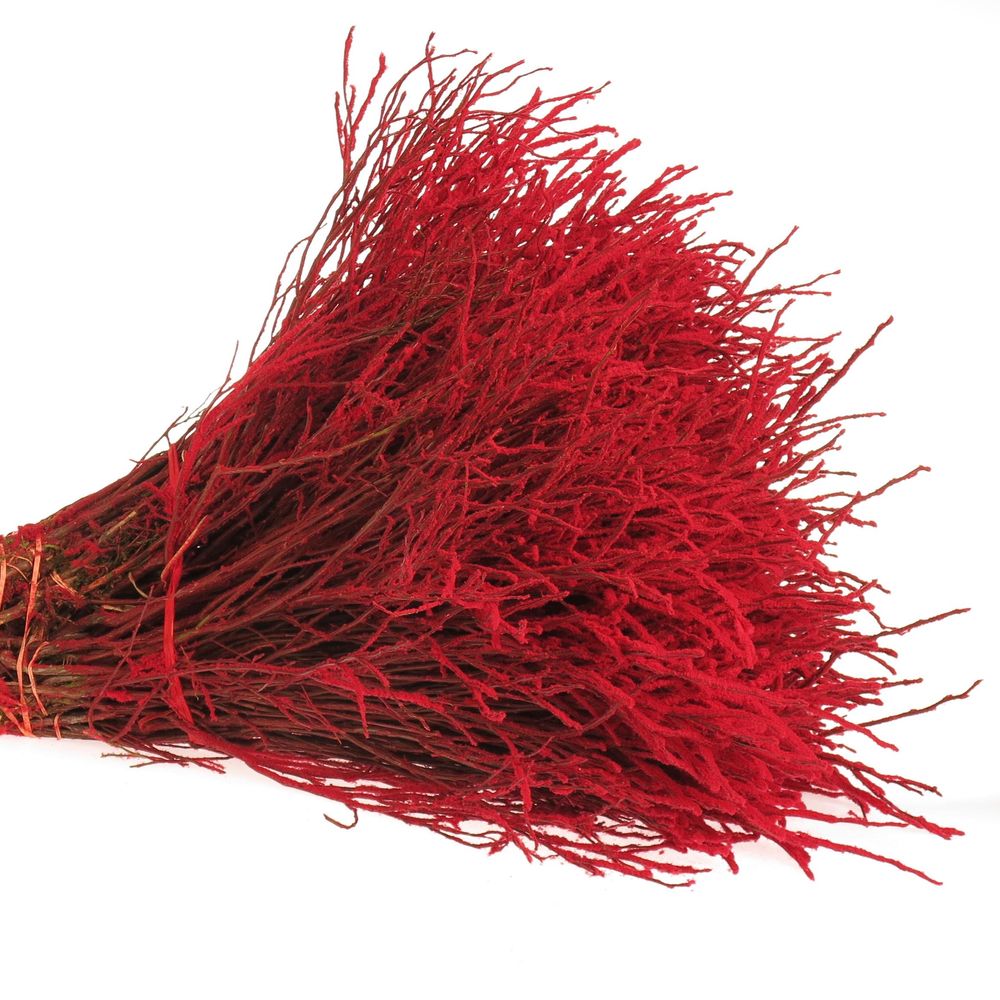 Heidelbeere rot Puder
