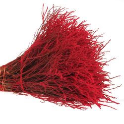 Heidelbeere rot Puder