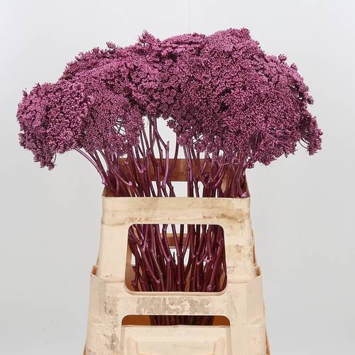 Dille Metallic rose gefärbt 60cm