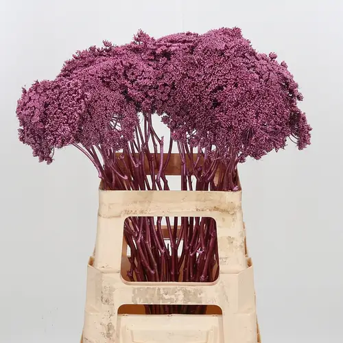 Dille Metallic rose gefärbt 60cm