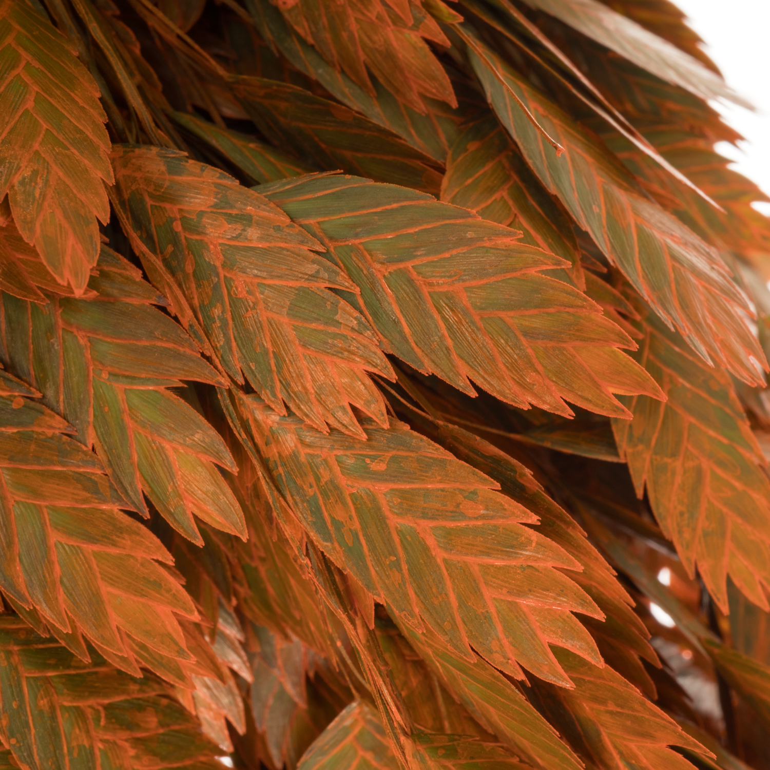 Chasmanthium orange gefärbt 70cm