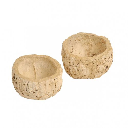 Trocken Kokos Ourico gebleicht D10cm