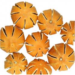 Trocken Apfelsinenfrüchte orange D04cm 250gr