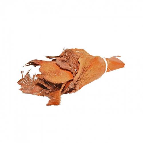 Trocken Palme Bakla natur 250gr  x10