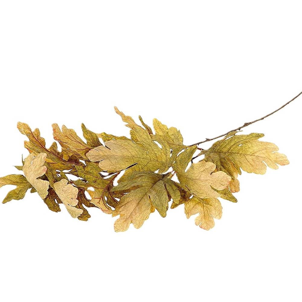 Seiden Quercusblatt grün L105cm