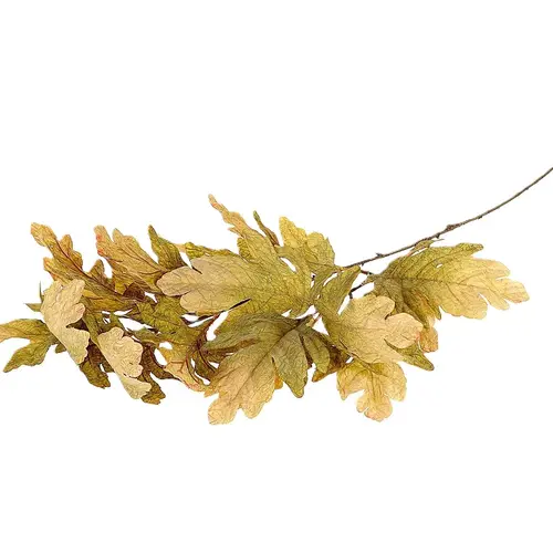 Seiden Quercusblatt grün L105cm