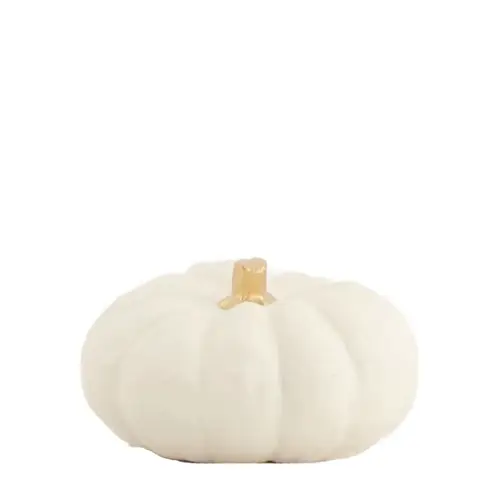 Kürbis weiss D08cm H03.5cm