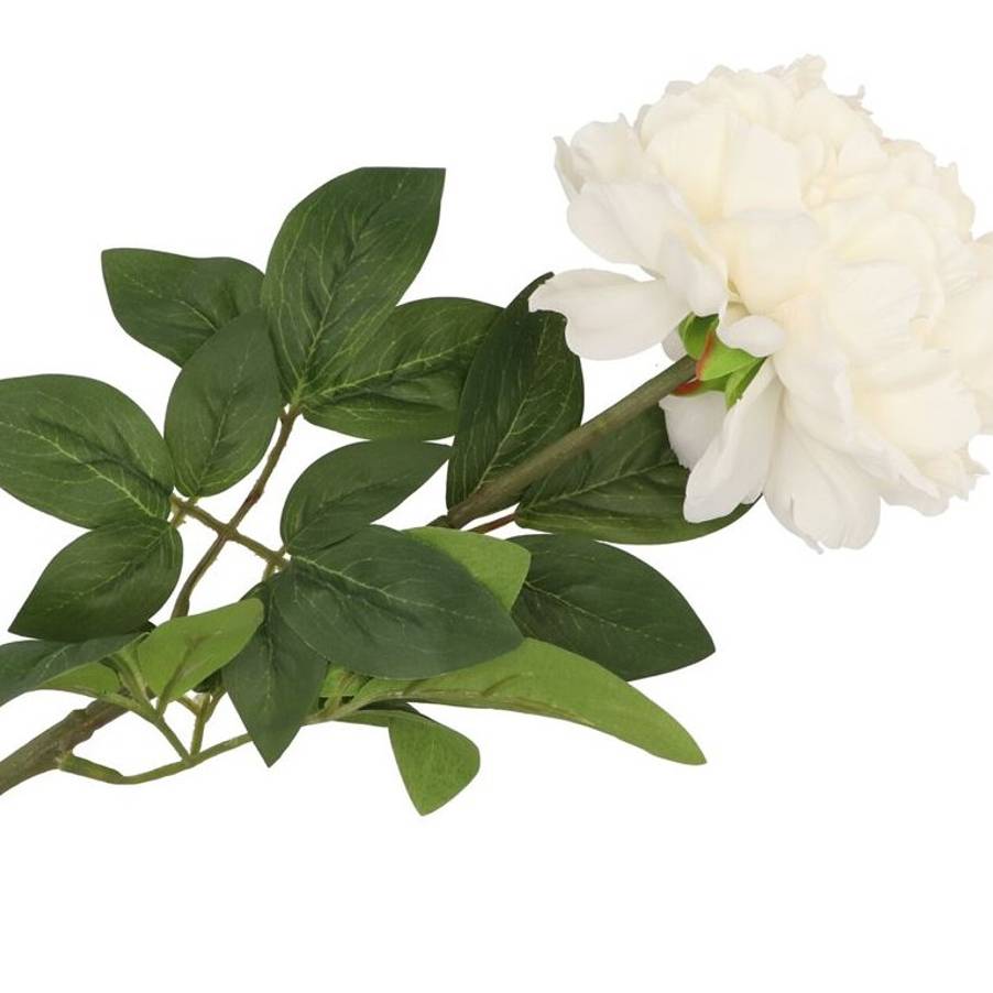 Seiden Hedera bunt im bertopf D11/25cm H45cm (Seiden Hedera) | Heyl -  Blumengrohandel / Floristikgrohandel