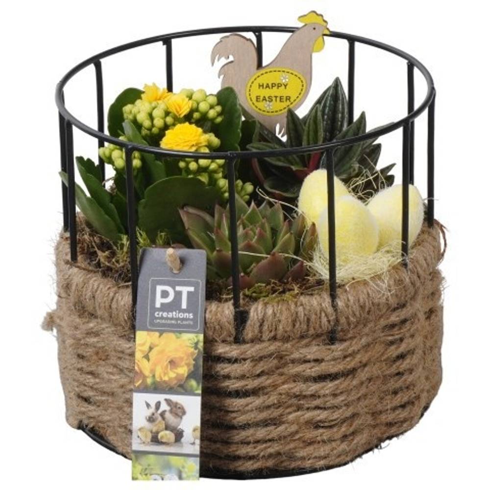 Kal.Arr PTPB6571 Ostern T17 H017
