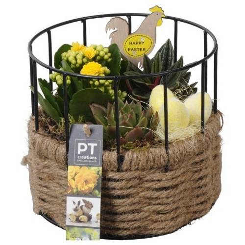 Kal.Arr PTPB6571 Ostern T17 H017