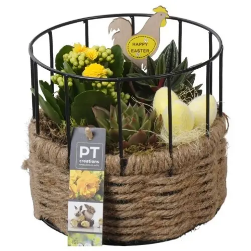 Kal.Arr PTPB6571 Ostern T17 H017