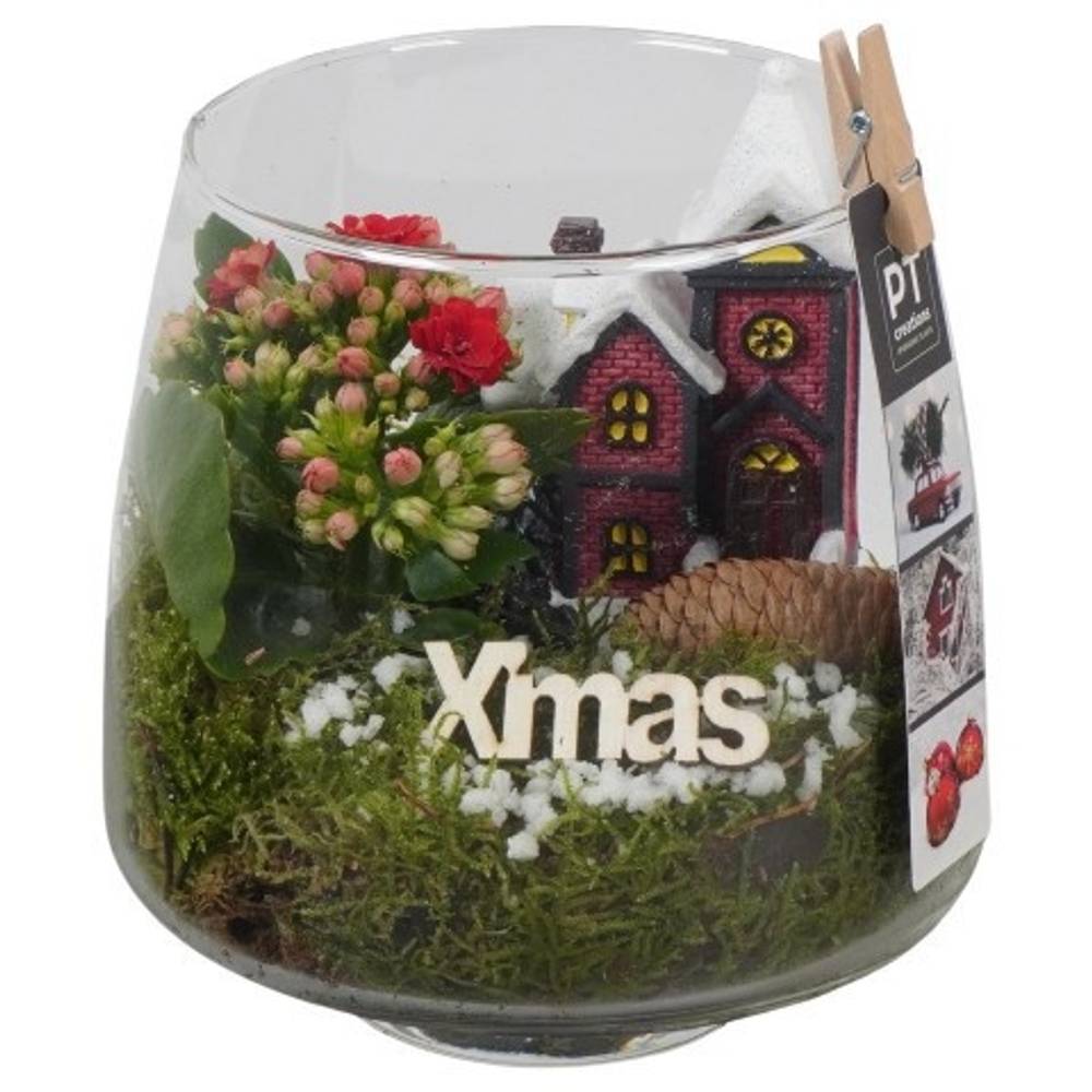 Kal.Arr PTCHR7458 Weihnachten T14 H019