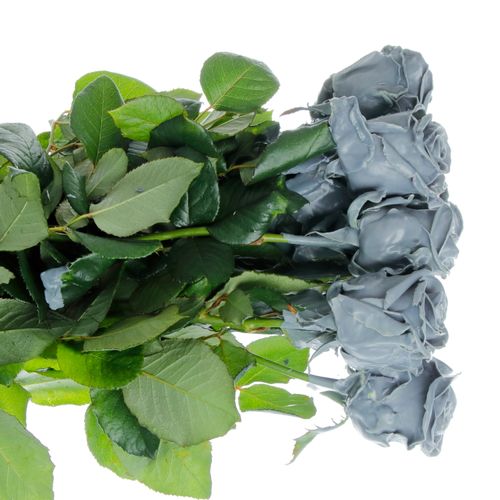 Rose grau Wachs (W53) 70cm