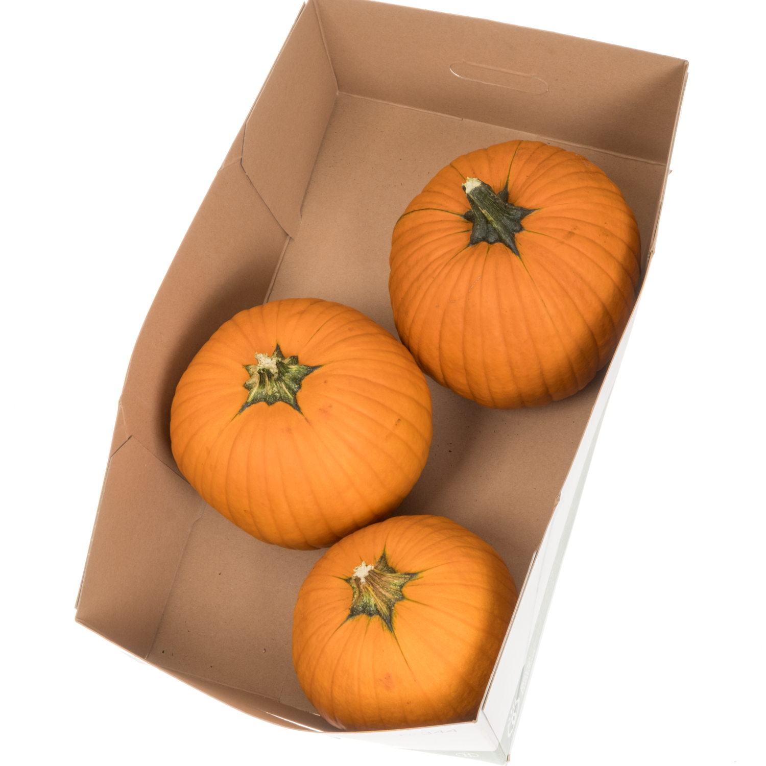 Zierkürbis orange Halloween 20cm
