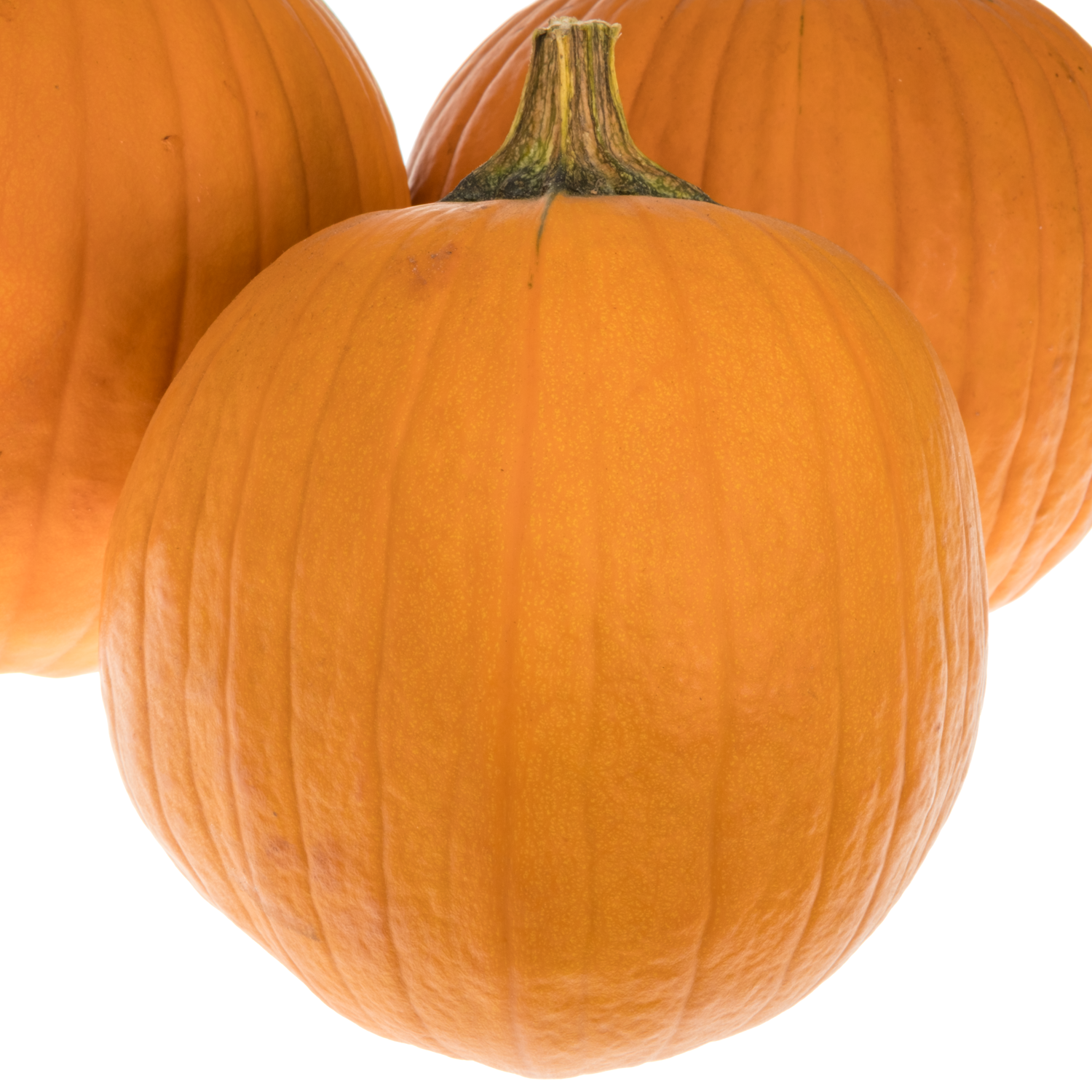 Zierkürbis orange Halloween 20cm