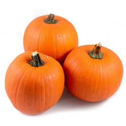 Zierkürbis orange Halloween 20cm
