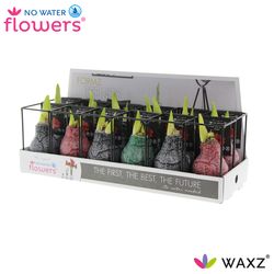 Amar.Bol Wachs mix Ind. Formz rote Bl. H15