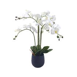 Orchidee im Keramiktopf weiss H62cm