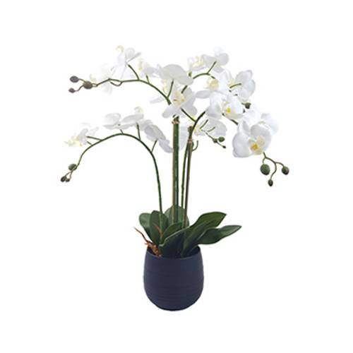 Orchidee im Keramiktopf weiss H62cm