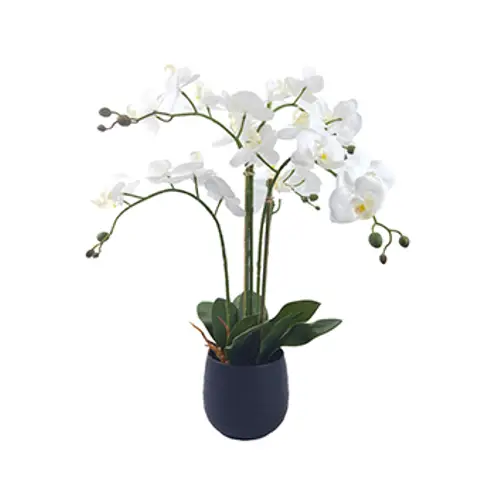 Orchidee im Keramiktopf weiss H62cm