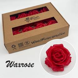 Seiden Wachs Rose rot 