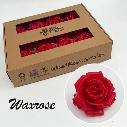 Seiden Wachs Rose rot 