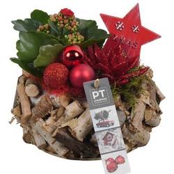 Kal.Arr PTCHR7350 Weihnachten T20 H021