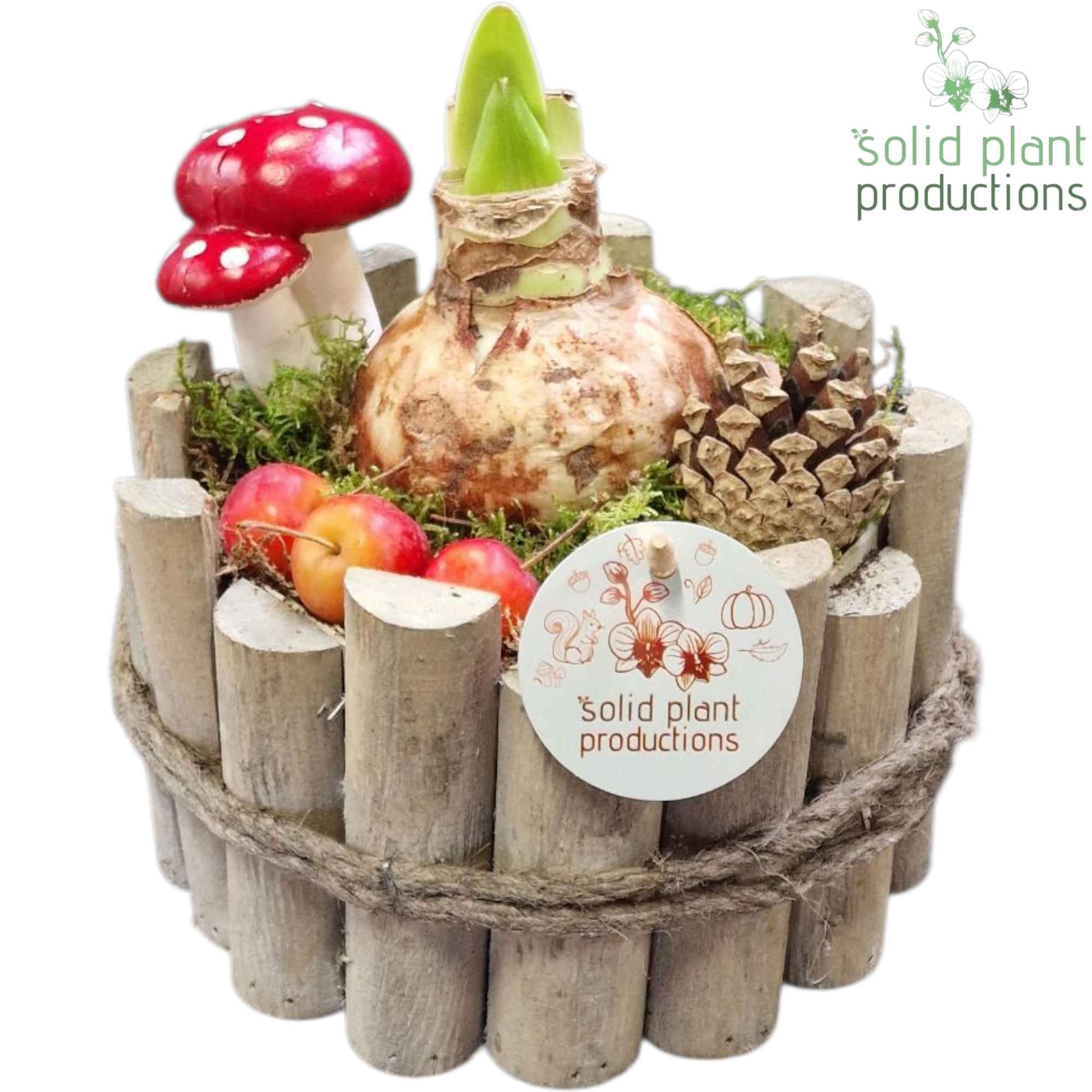 Amaryl.Arr AH001 Milano Small T17 H020