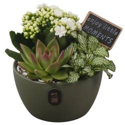 Kal.Arr PTIB5141 T14 H017