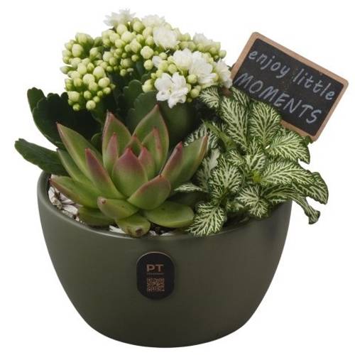 Kal.Arr PTIB5141 T14 H017