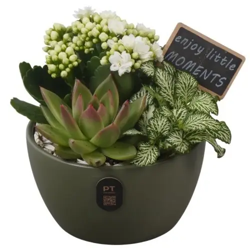 Kal.Arr PTIB5141 T14 H017