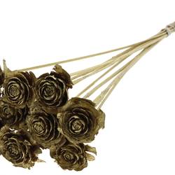 Trocken Cedar Rose auf Stab gold L50cm