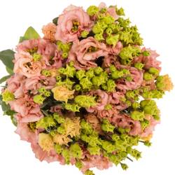 Lisianthus orange Sabrina Waalzicht