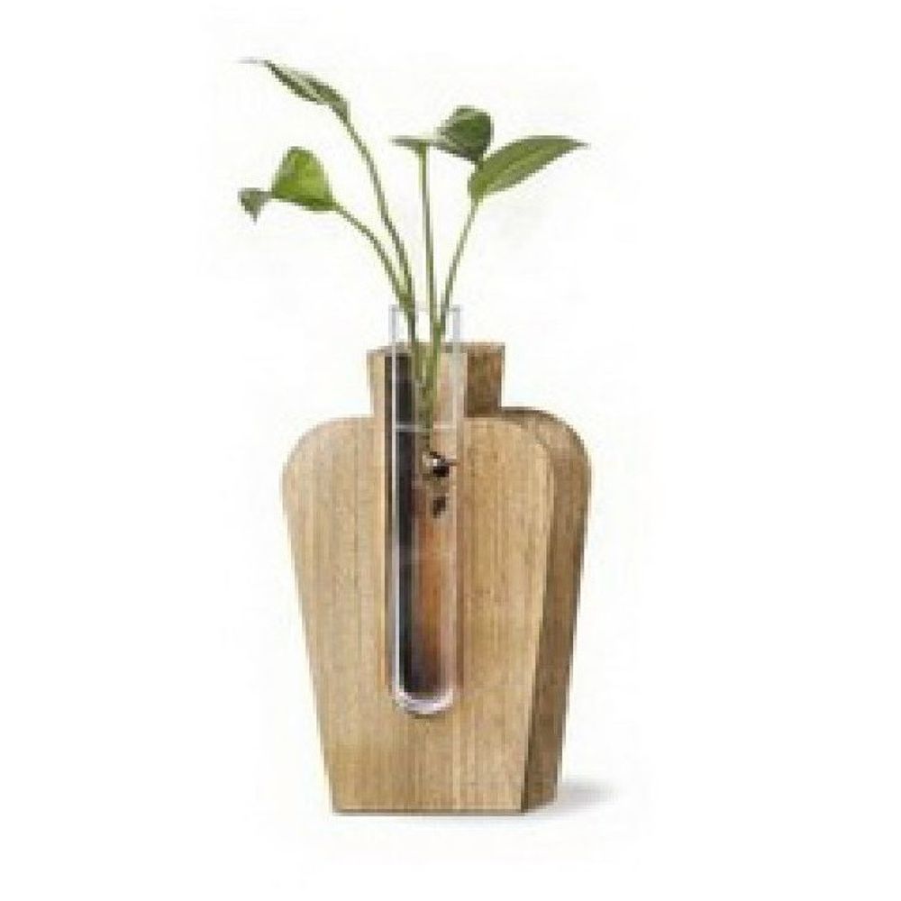Glas Vase Holz mit 1 Rohr D02cm H13cm