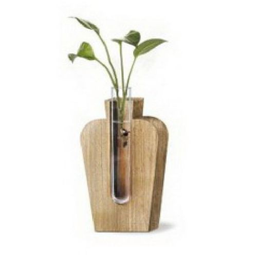 Glas Vase Holz mit 1 Rohr D02cm H13cm