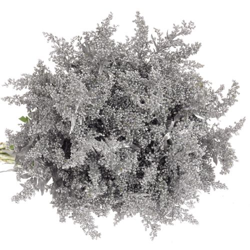 Solidago silber gefärbt 60cm