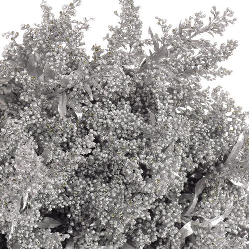 Solidago silber gefärbt 60cm