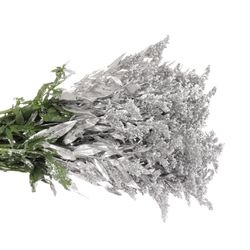 Solidago silber gefärbt 60cm