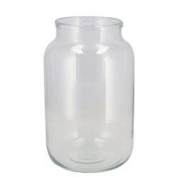 Glas Vase Terrarium Clear 14x14x30cm