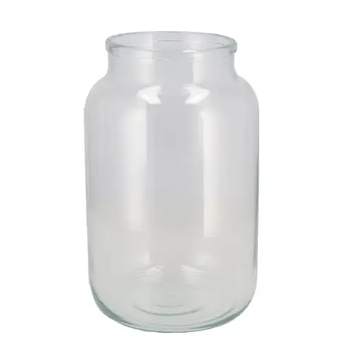 Glas Vase Terrarium Clear 14x14x30cm
