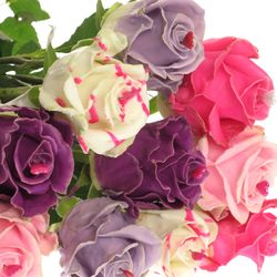 Rose wachs mix Choco Sweethart 70cm duftend